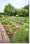 GovernorsPalaceGarden_Williamsburg_2025May_R5A25025