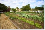 KingsArmsTavernGarden_Williamsburg_2025May_R5A24942