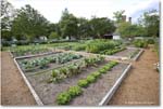 OrlandoJonesGarden_Williamsburg_2025May_R5A24940