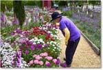 Susan&Dianthus_LightfootTenement_Williamsburg_2025May_R5A24928