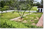 TaliaferroColeArbor_Williamsburg_2025May_R5A24958