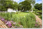TaliaferroColeGarden_Williamsburg_2025May_R5A24959