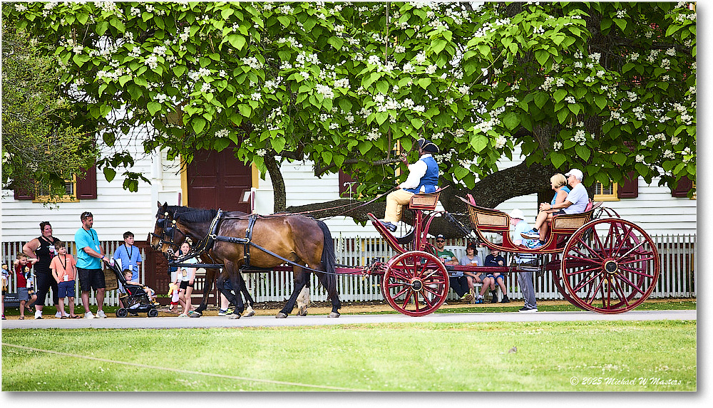 CarriageRide_Williamsburg_2025May_R5C00726