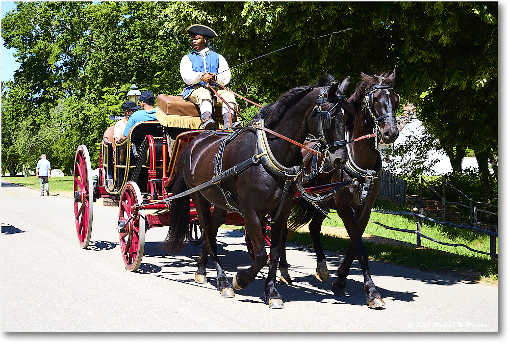 CarriageRide_Williamsburg_2025May_R5C02789