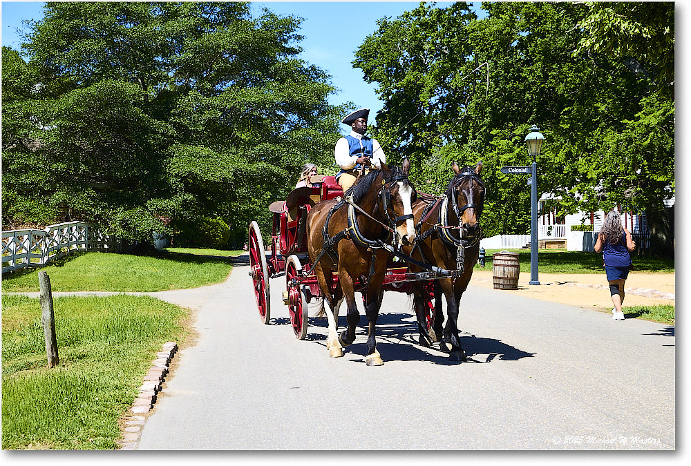 CarriageRide_Williamsburg_2025May_R5C02795