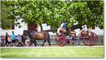 CarriageRide_Williamsburg_2025May_R5C00726