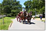 CarriageRide_Williamsburg_2025May_R5C02795