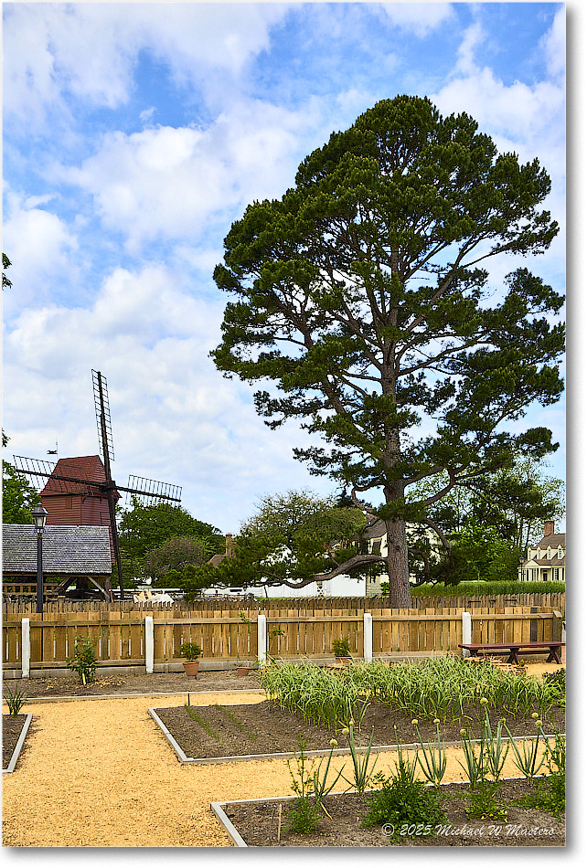 FarmPineTree_Williamsburg_2025May_R5C02878-79_HDR