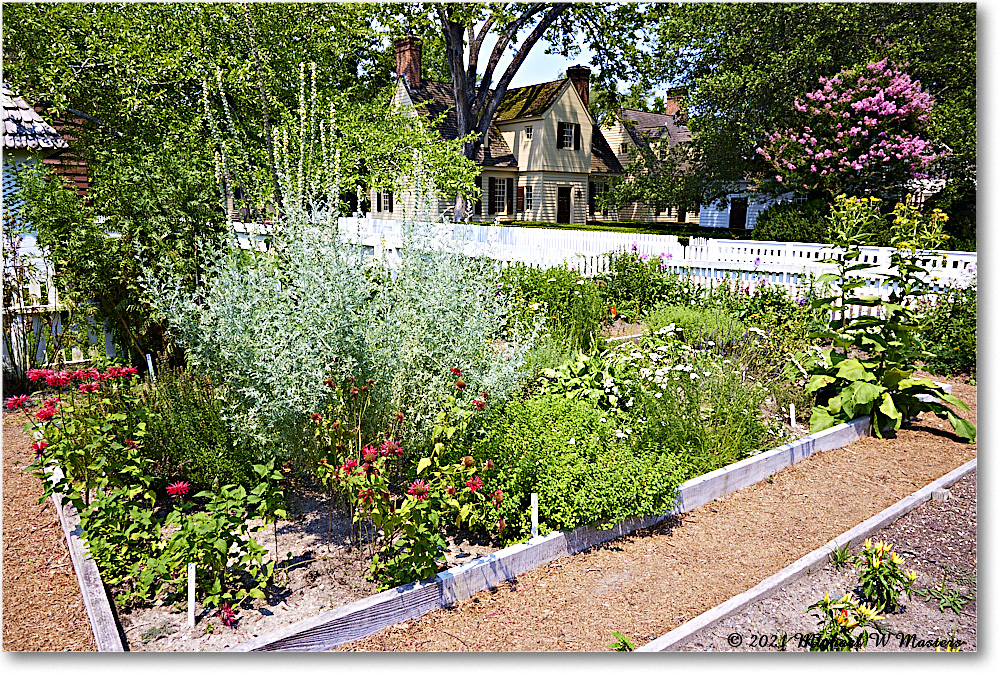 GeorgeReidGarden_Williamsburg_2021Jul_R5B03914