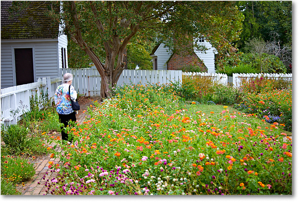 Taliferro-ColeGarden_Williamsburg_2019Oct_5D4A1890