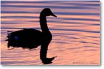 Goose-Silhouette-001-01H-0206