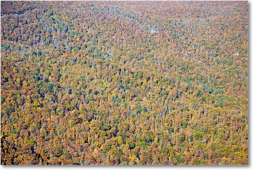 039B-HemlockSpringsOL_SkylineDrive_2015Oct_2DXB1722