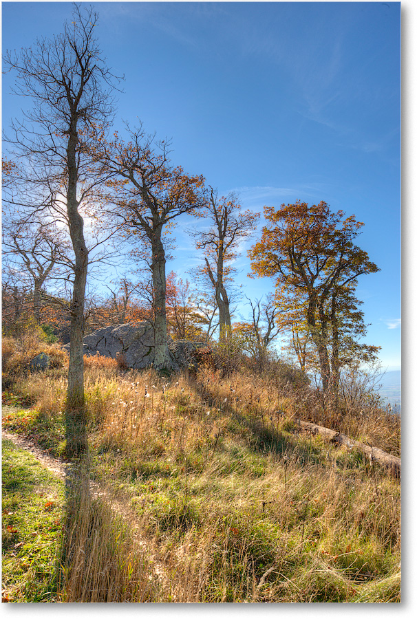 JewelHollowOL_SkylineDrive_2015Oct_S3A9021_2_HDR copy