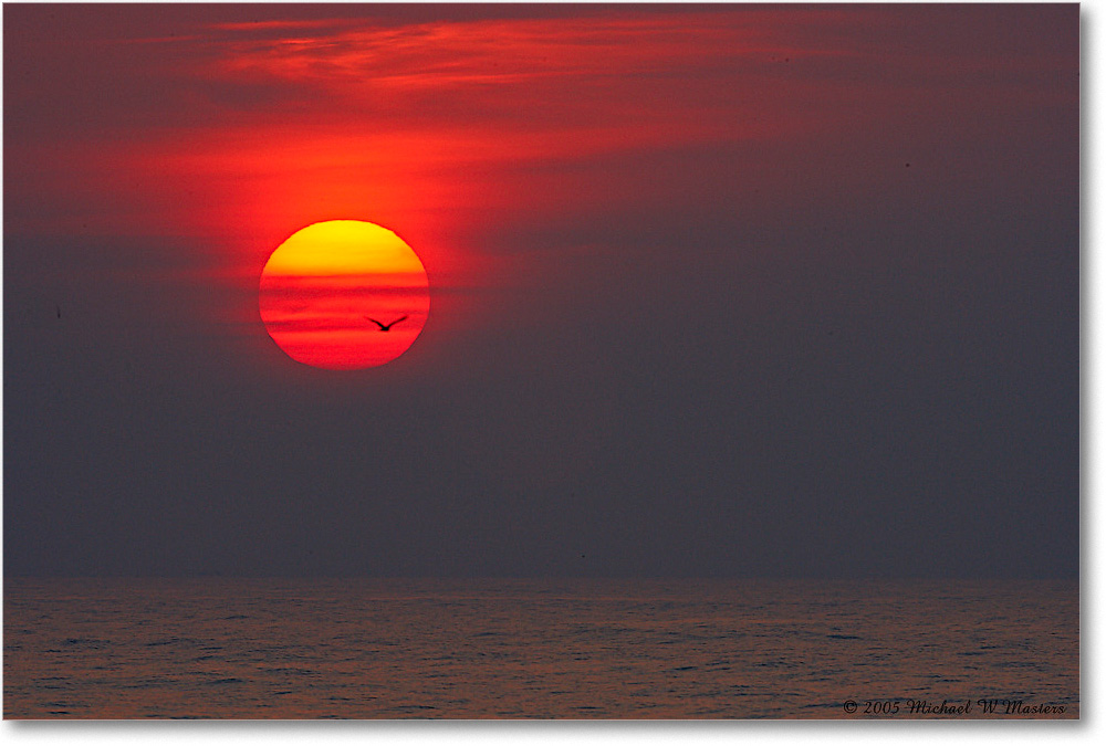 SunriseAtlantic_Assateague_2005Oct_E0K4793 copy