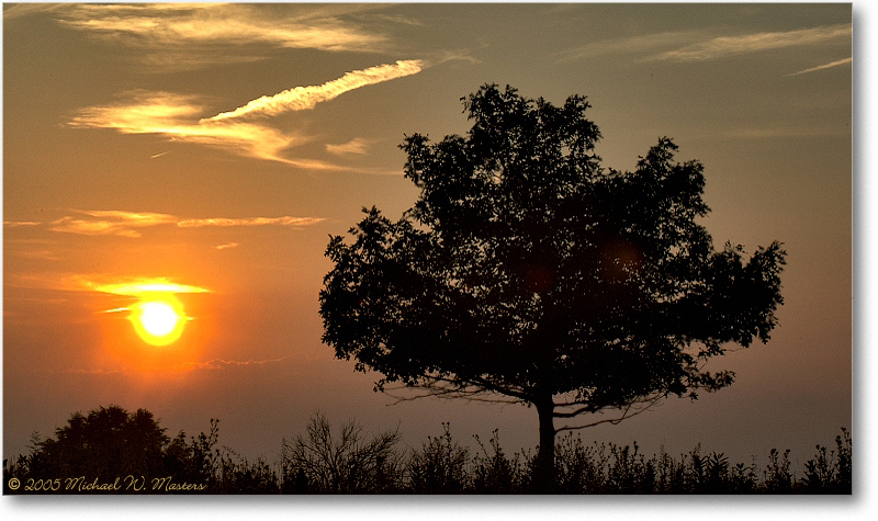 SunsetTree_BigMeadows_2005Aug_1FFT7961