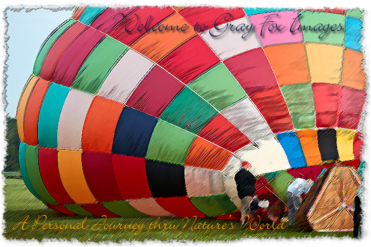 PhotoArt-BalloonFestival