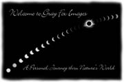 PhotoArt-SolarEclipseComposite