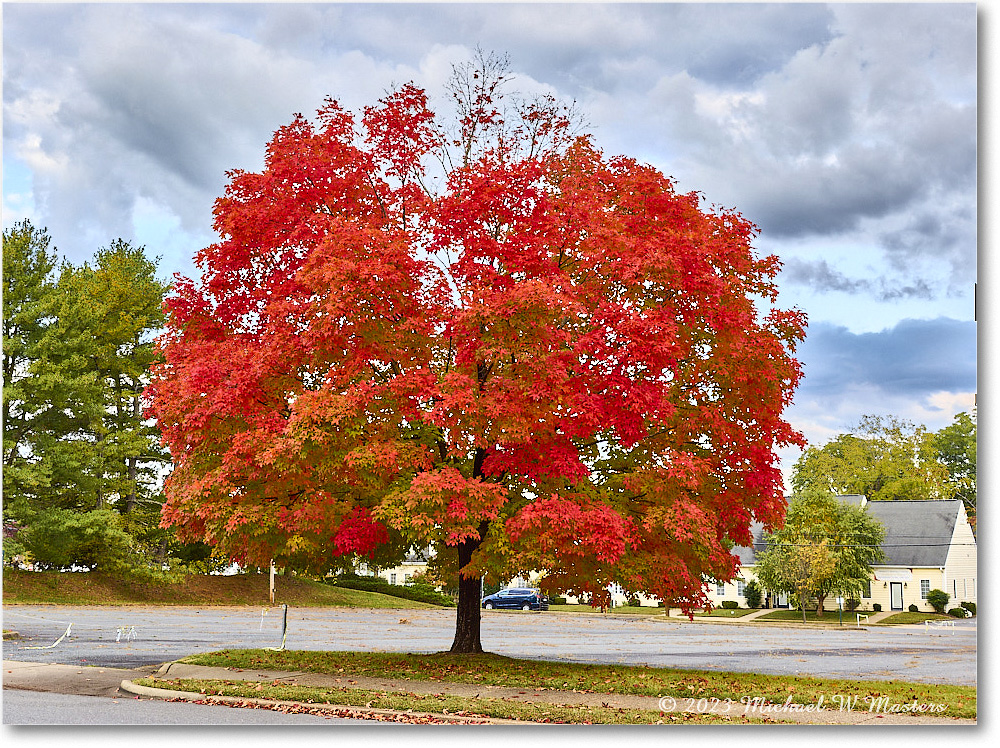 FallColors_Fredericksburg_2023Oct_R5B13403-05_HDR copy