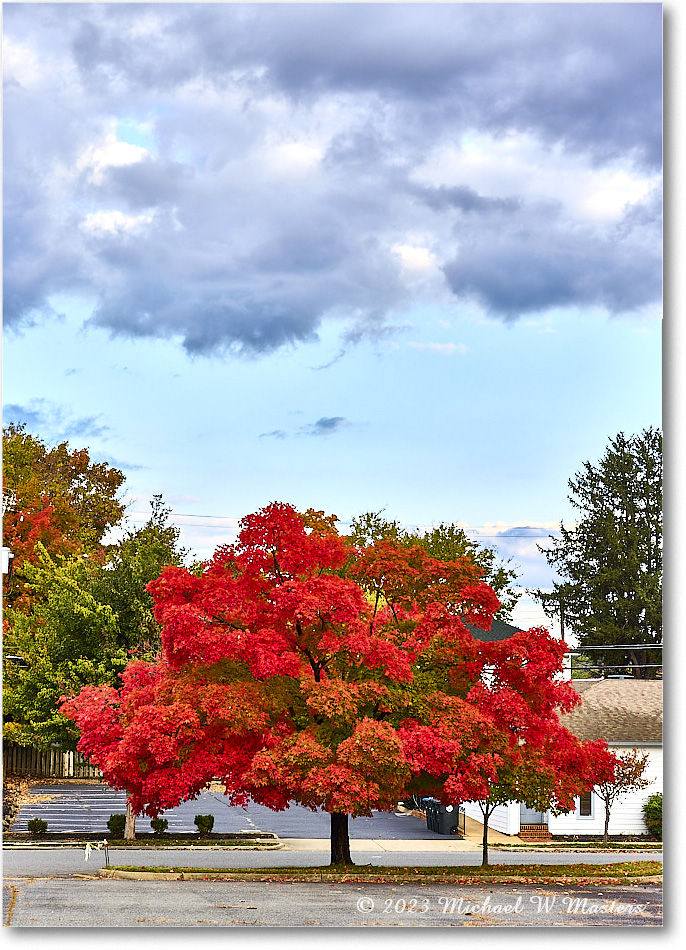 FallColors_Fredericksburg_2023Oct_R5B13415-17_HDR copy