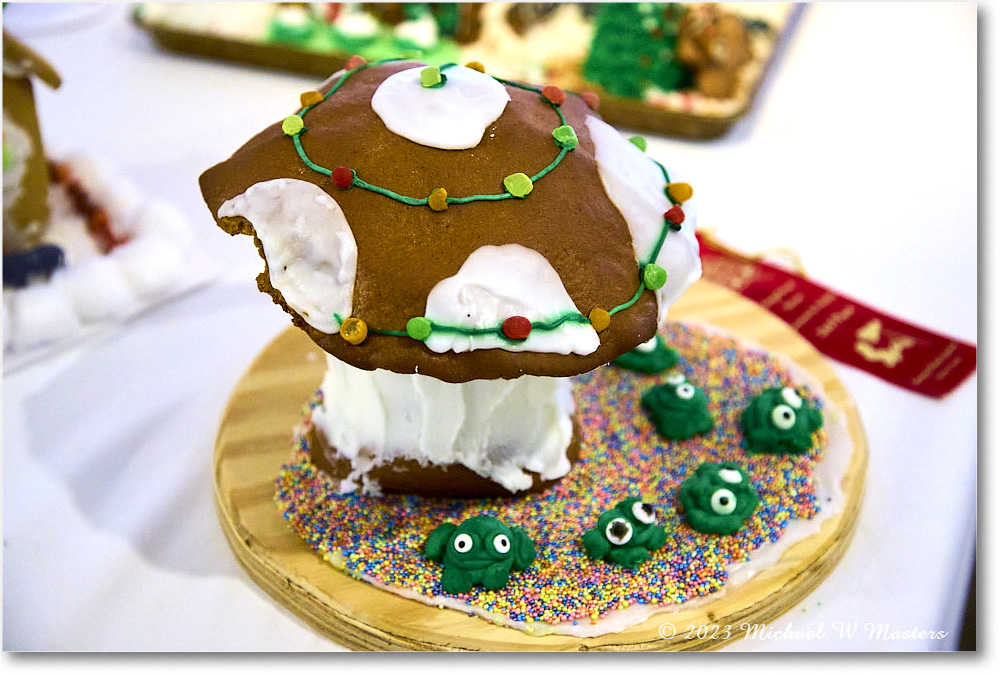 GingerbreadHouse_FerryFarm_2023Dec_R5B14076