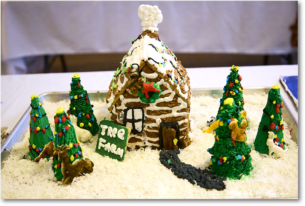 GingerbreadHouse_FerryFarm_2023Dec_R5B14093