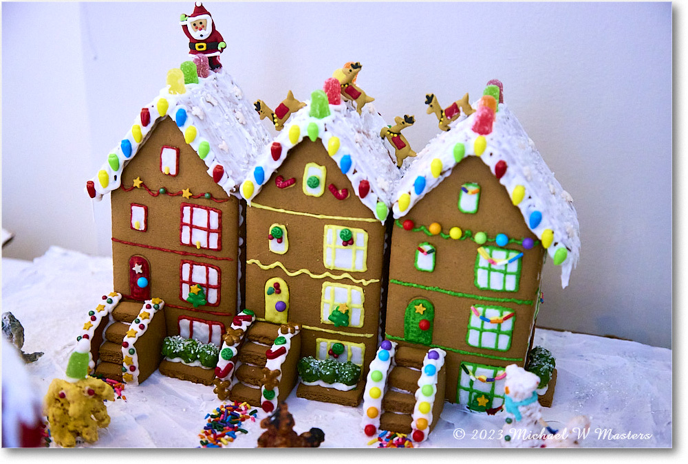 GingerbreadHouse_FerryFarm_2023Dec_R5B14127