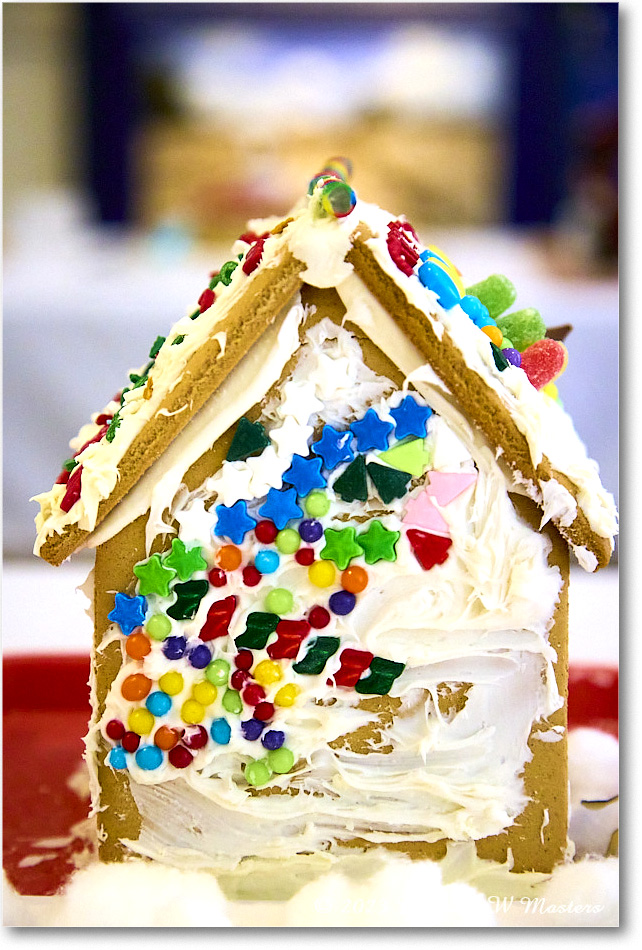 GingerbreadHouse_FerryFarm_2023Dec_R5B14138 copy