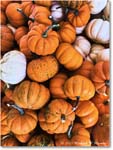 PumpkinPatch_Fredericksburg_2023Oct_IMG_1412 copy