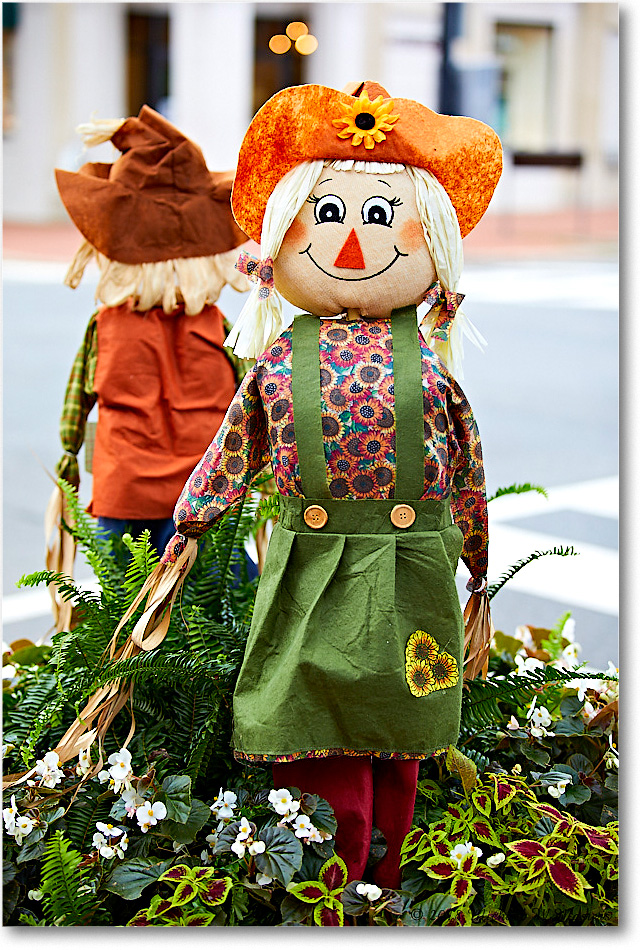 HarvestDoll_Fredericksburg_2018Oct_5D5A0956 copy