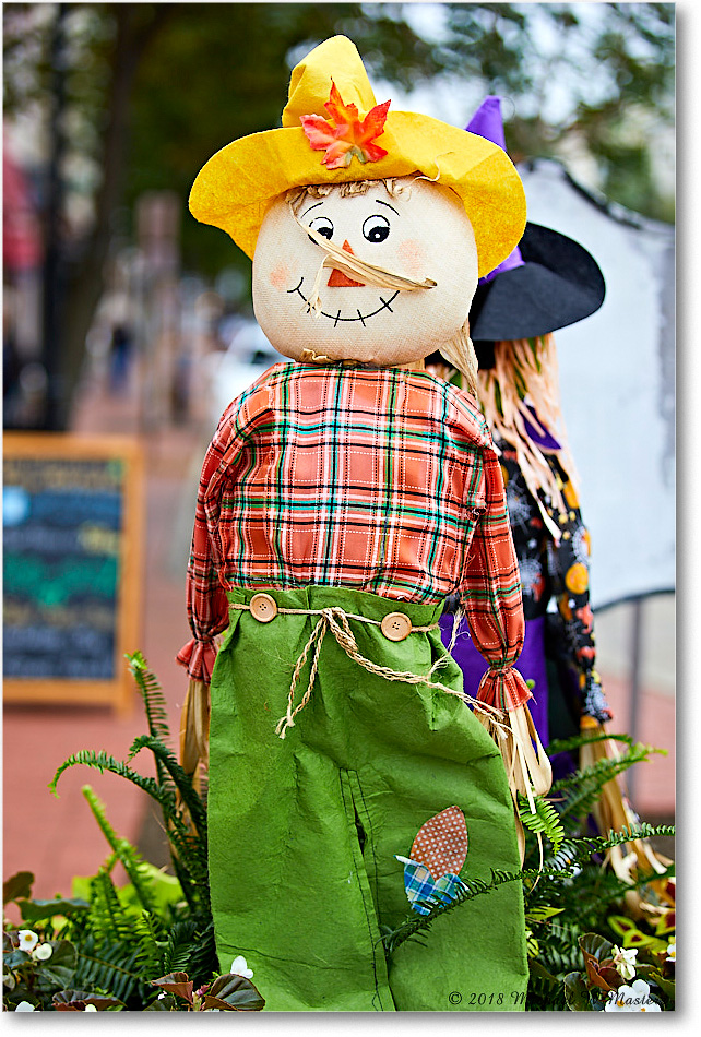 HarvestDoll_Fredericksburg_2018Oct_5D5A0960 copy