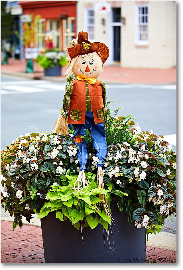 HarvestDoll_Fredericksburg_2018Oct_5D5A0974 copy