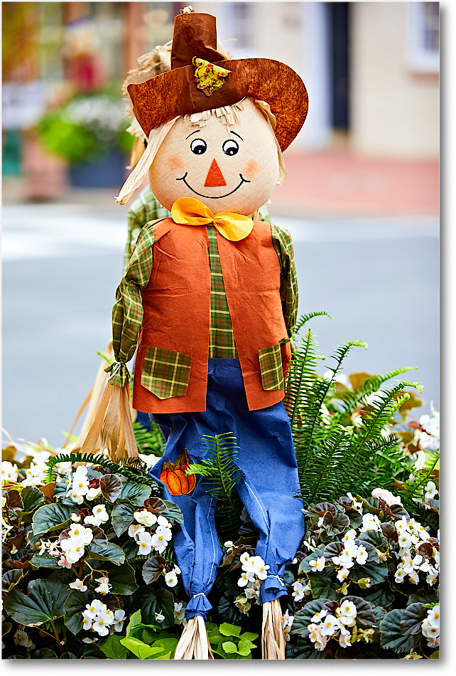 HarvestDoll_Fredericksburg_2018Oct_5D5A0975 copy