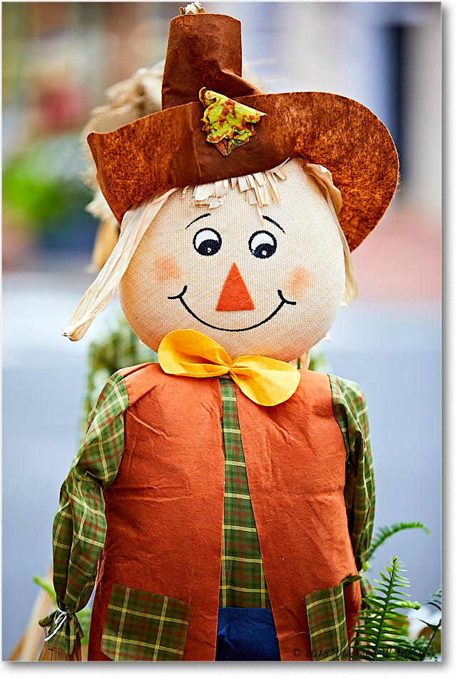 HarvestDoll_Fredericksburg_2018Oct_5D5A0976 copy