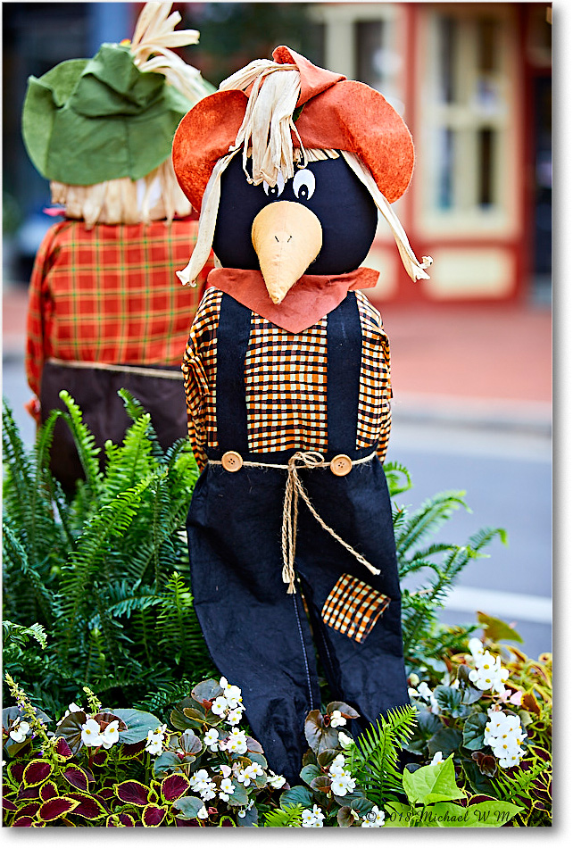 HarvestDoll_Fredericksburg_2018Oct_5D5A0984 copy