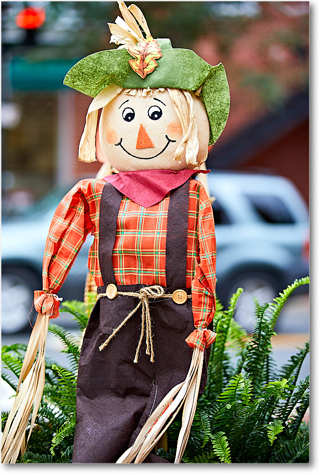 HarvestDoll_Fredericksburg_2018Oct_5D5A0987 copy