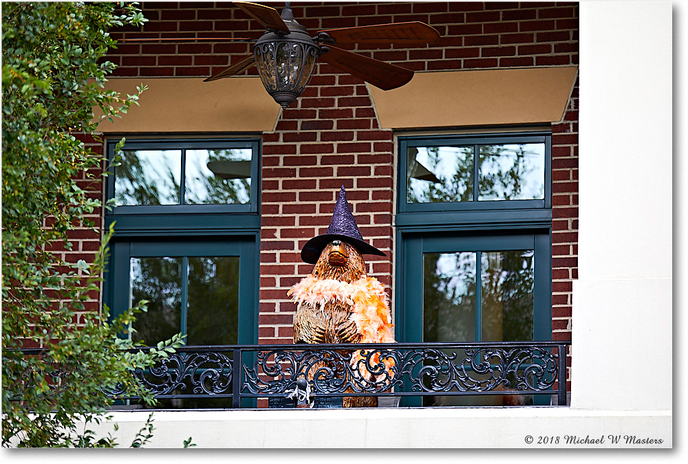 HarvestDoll_Fredericksburg_2018Oct_5D5A1001 copy