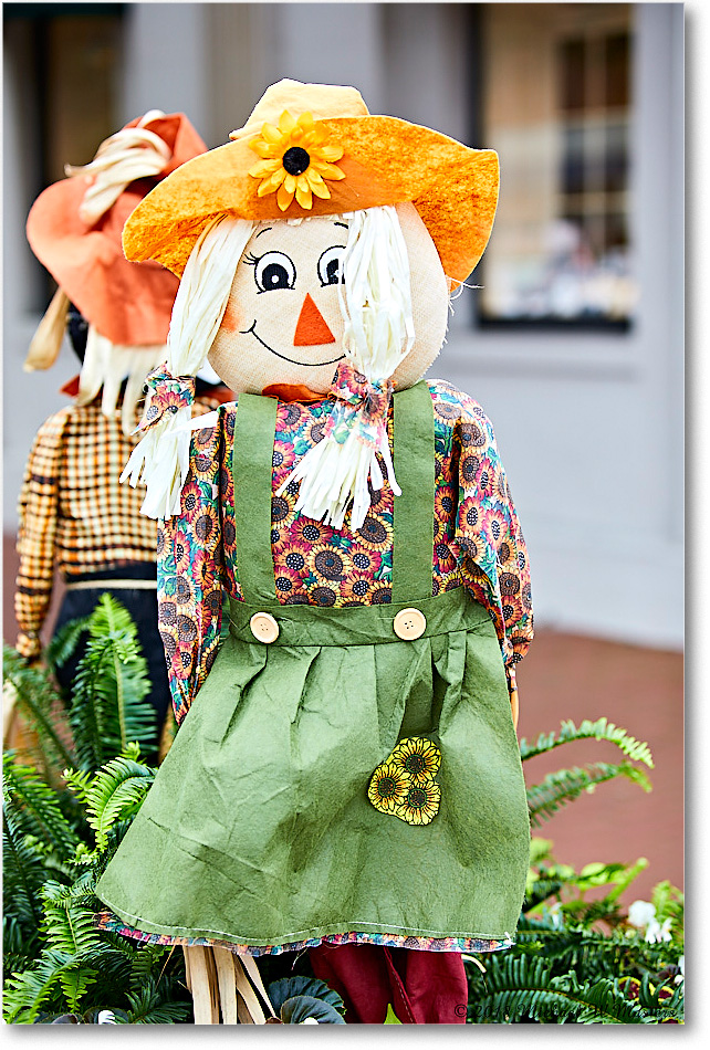 HarvestDoll_Fredericksburg_2018Oct_5D5A1011 copy