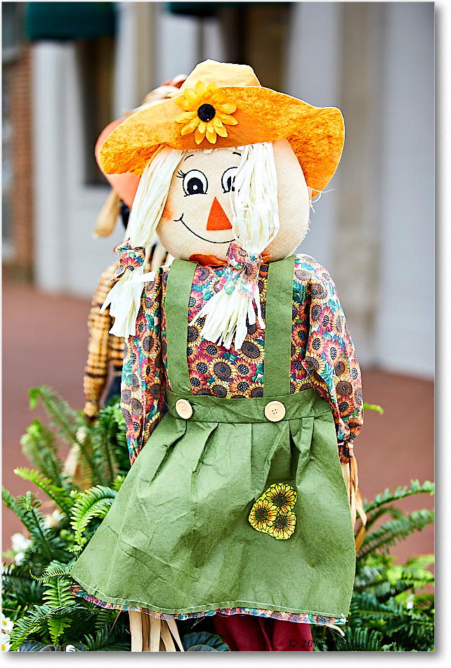 HarvestDoll_Fredericksburg_2018Oct_5D5A1012 copy