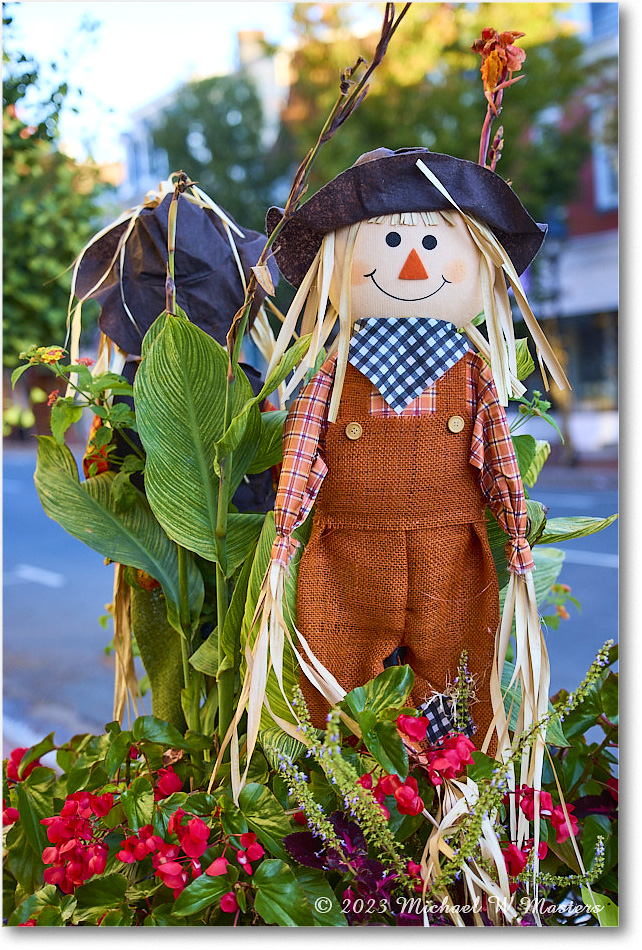 HarvestDoll_Fredericksburg_2023Oct_R5A21471 copy