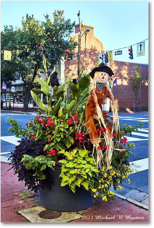 HarvestDoll_Fredericksburg_2023Oct_R5B13150&51_HDR copy