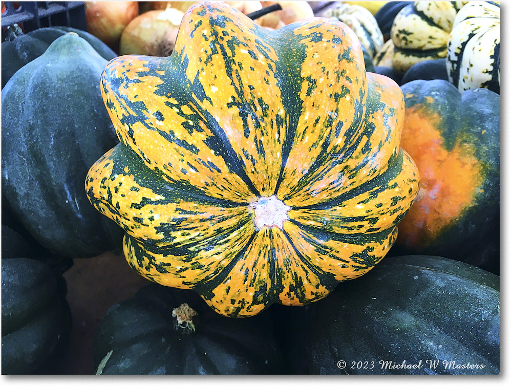 PumpkinPatch_Fredericksburg_2023Oct_IMG_1428 copy