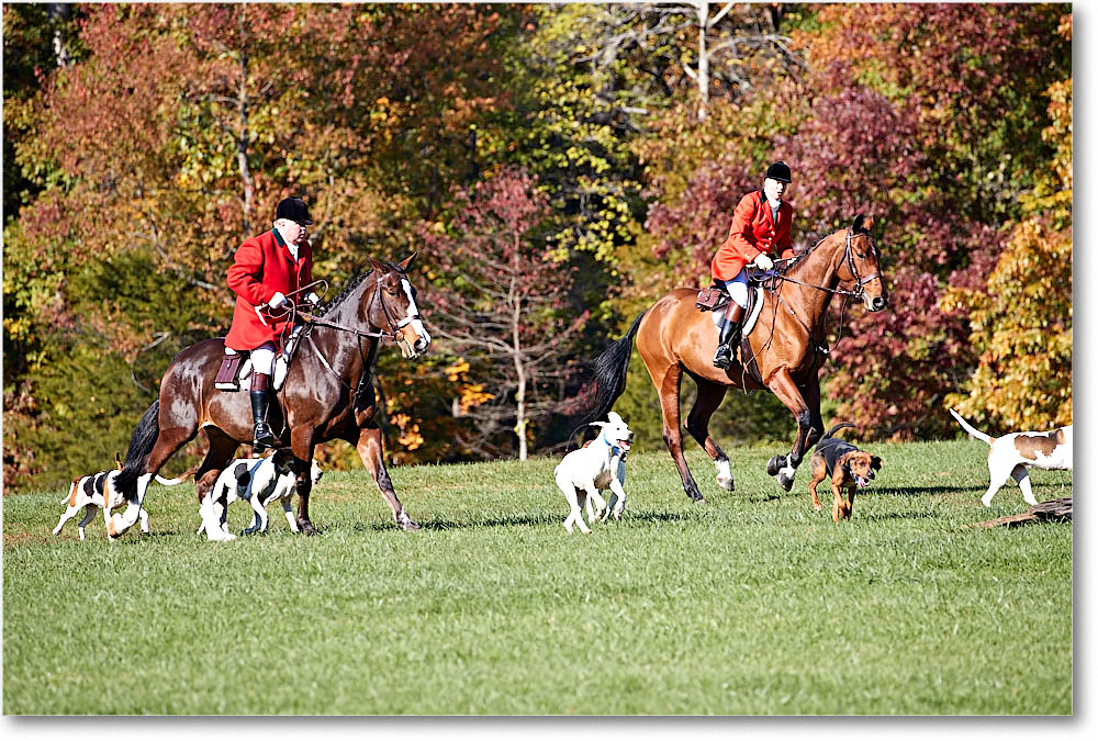 MtVernonHorses&Hounds_CarolineHuntClub_2016Nov_4DXA6290 copy