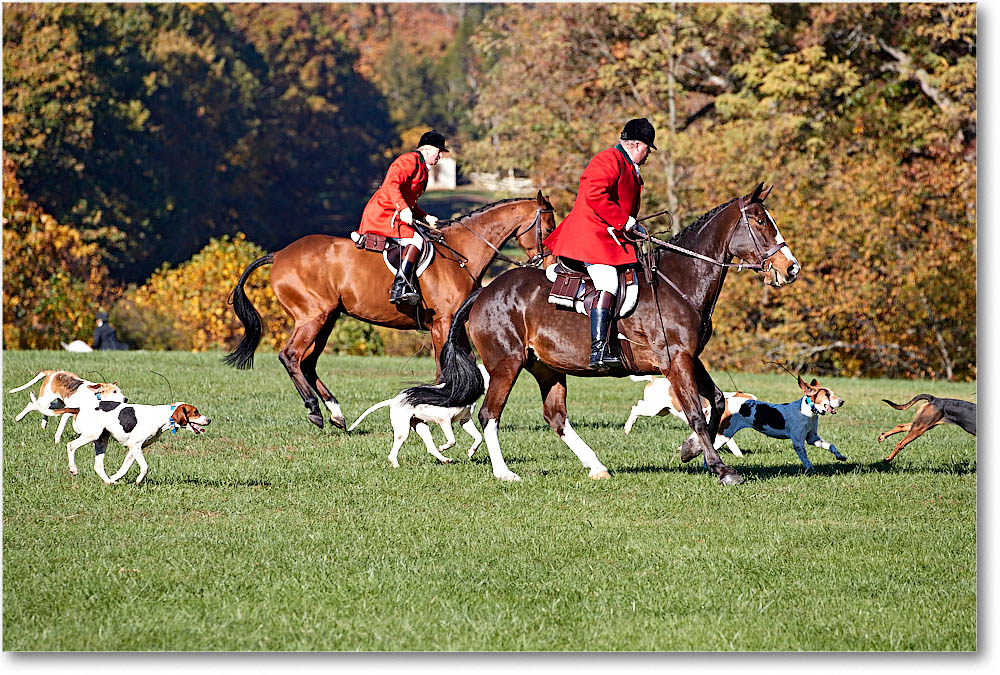 MtVernonHorses&Hounds_CarolineHuntClub_2016Nov_4DXA6312 copy