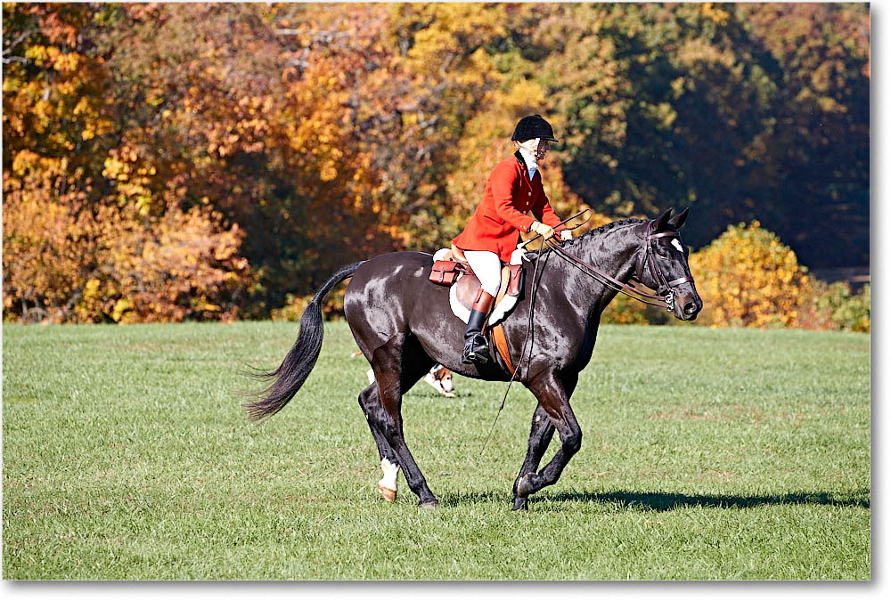 MtVernonHorses&Hounds_CarolineHuntClub_2016Nov_4DXA6314 copy