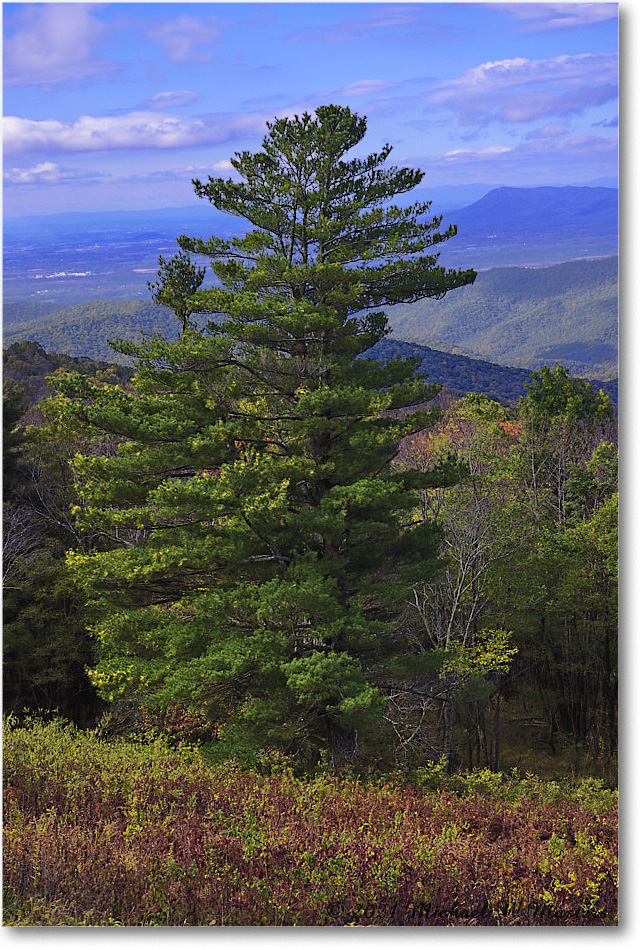 054-HazeltopRidgeOverlook_SkylineDrive_2021Oct_R5B05769