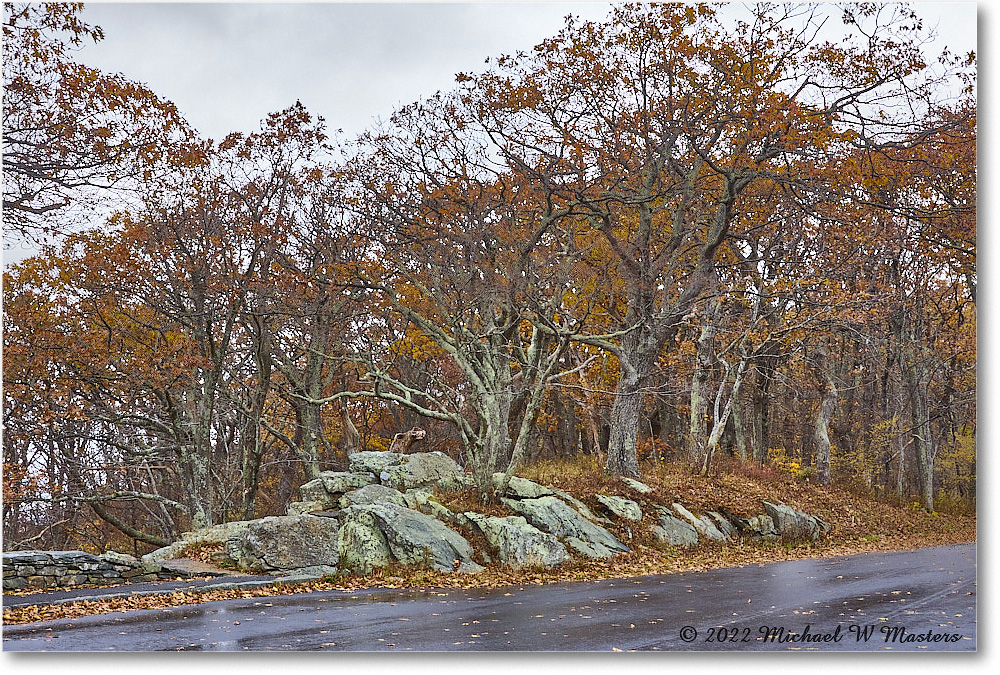 CrescentRockOverlook_SkylineDrive_2022Oct_R5A19783