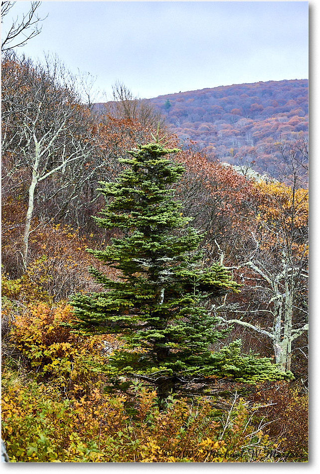 CrescentRockOverlook_SkylineDrive_2022Oct_R5A19804-05_HDR