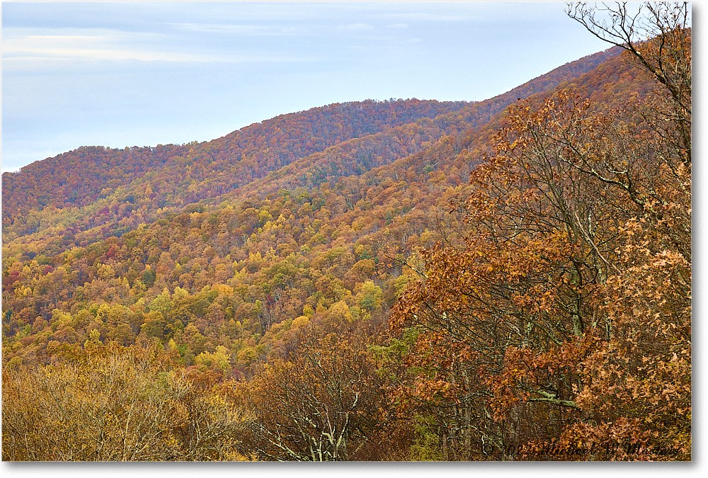 FishersGapOverlook_SkylineDrive_2022Oct_R5A19699