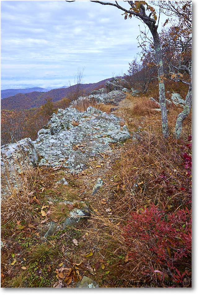 FranklinCliffsOverlook_SkylineDrive_2022Oct_R5A19728