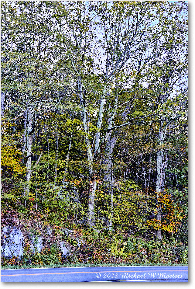 HemlockSpringsOverlook_SkylineDrive_2023Oct_R5B13284-85_HDR